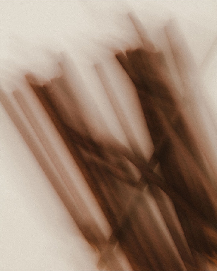 Incense Sticks (006)