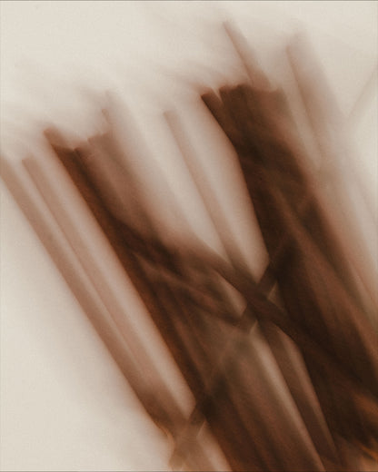 Incense Sticks (006)
